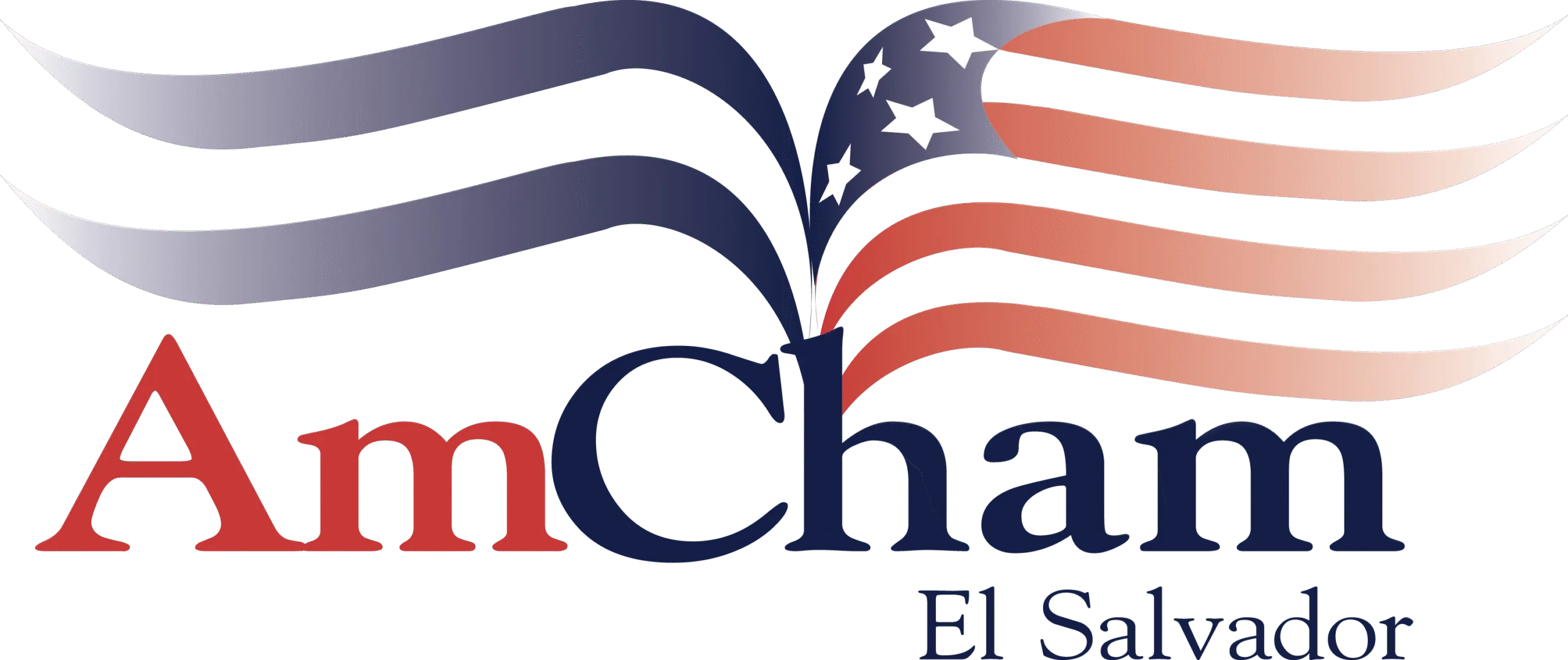 LOGO AMCHAM LOGO AMCHAM scaled